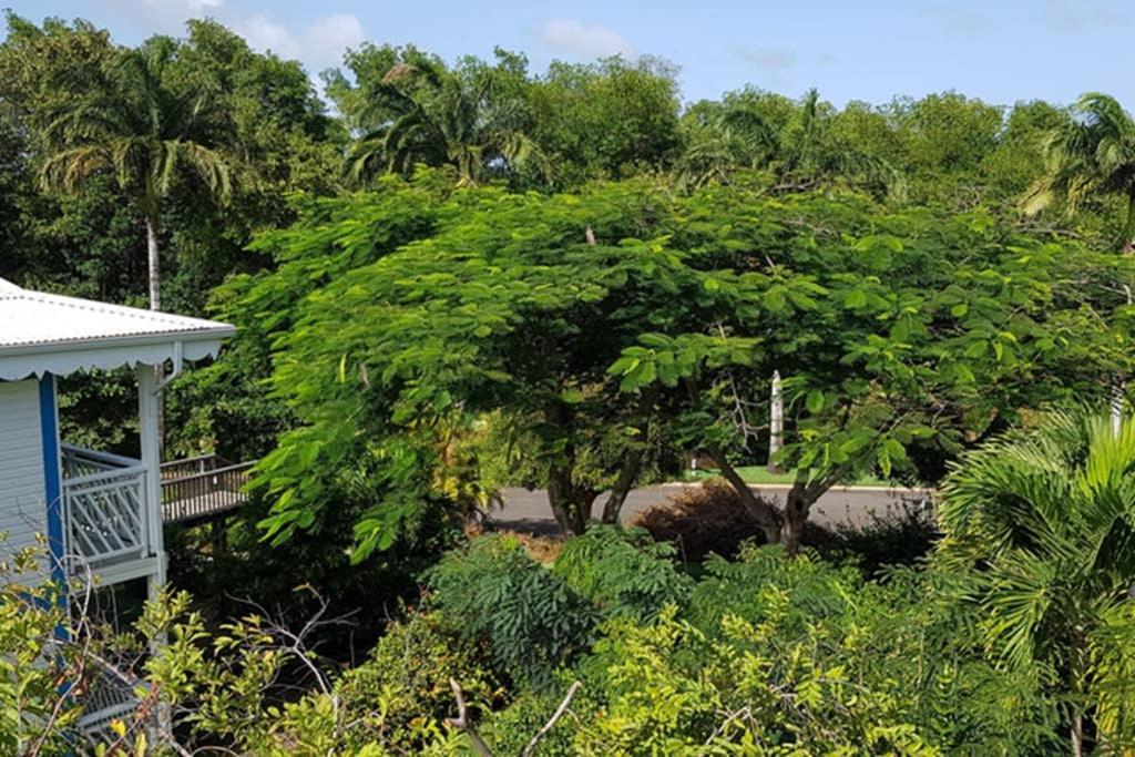 Paradisiac Lagoon 圣弗朗索瓦 外观 照片